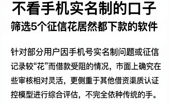不看手机实名制的口子,筛选5个征信花居然都下款的软件