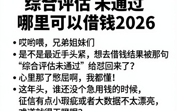 综合评估未通过哪里可以借钱2026,枚举五个贷款不上诚信平台的软件