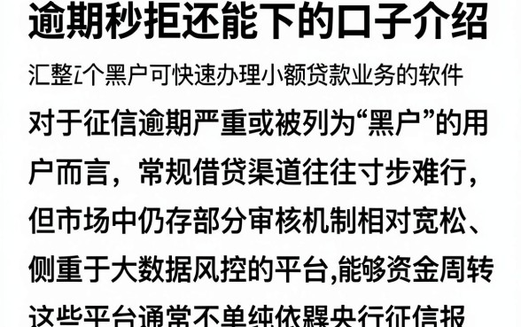 逾期秒拒还能下的口子介绍，汇整五个黑户可快速办理小额贷款业务的软件