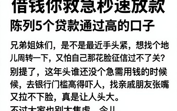 借钱你救急秒速放款，陈列5个贷款通过高的口子