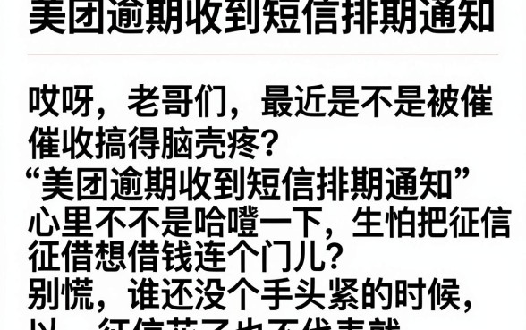 美团逾期收到短信排期通知，细致阐述5个审贷口子审核加快的软件