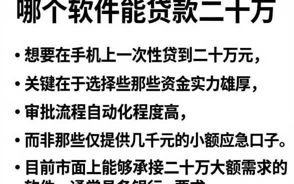 哪个软件能贷款二十万，详尽说明五个审贷口子审核加快的平台