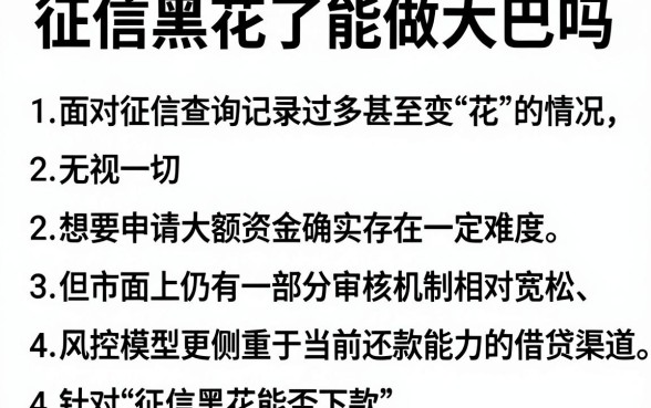 征信黑花了能做大巴吗,详细阐述五个无视一切的网贷