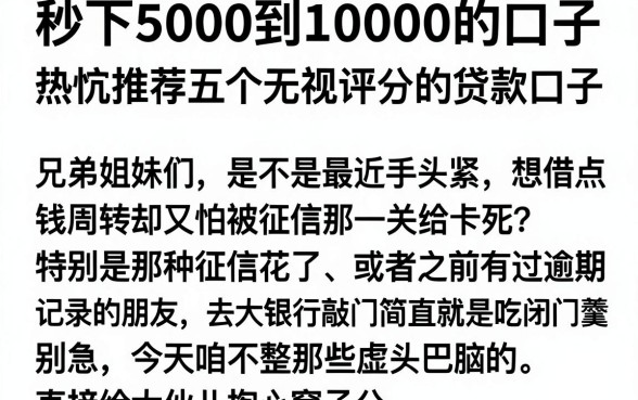 秒下5000到10000的口子，热忱推荐五个无视评分的贷款口子