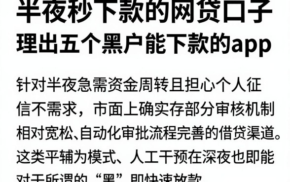 半夜秒下款的网贷口子，理出五个黑户能下款的app