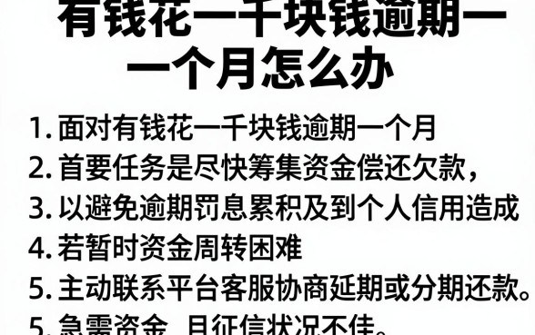 有钱花一千块钱逾期一个月怎么办,条列5个不看年龄征信负债的app