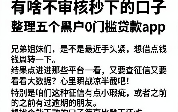 有啥不审核秒下的口子,整理五个黑户0门槛贷款app