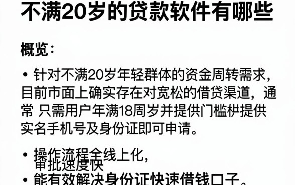 不满20岁的贷款软件有哪些,概览五个手机和身份证快速借钱口子