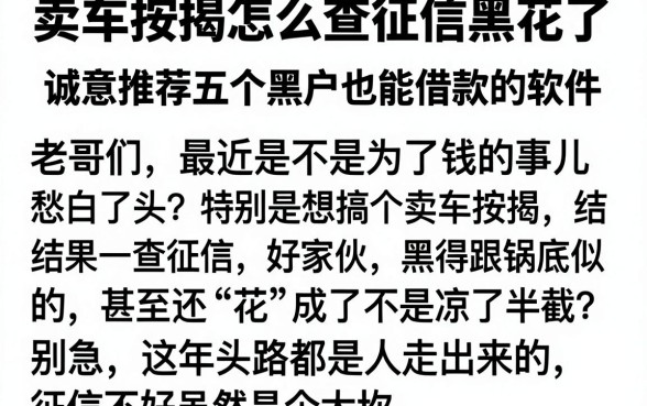 卖车按揭怎么查征信黑花了，诚意推荐五个黑户也能借款的软件