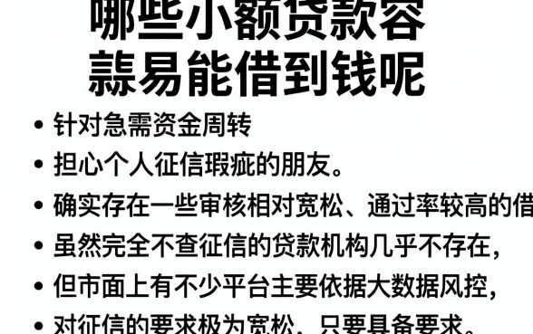 哪些小额贷款容易能借到钱呢,整合5个小额贷款不查征信的软件