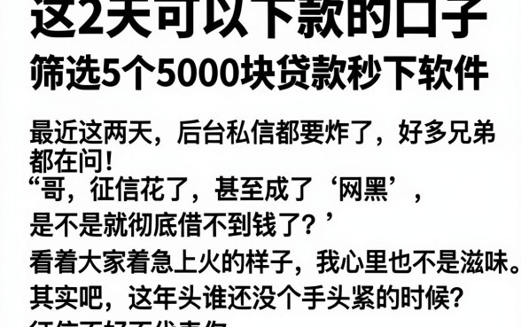 这2天可以下款的口子，筛选5个5000块贷款秒下软件