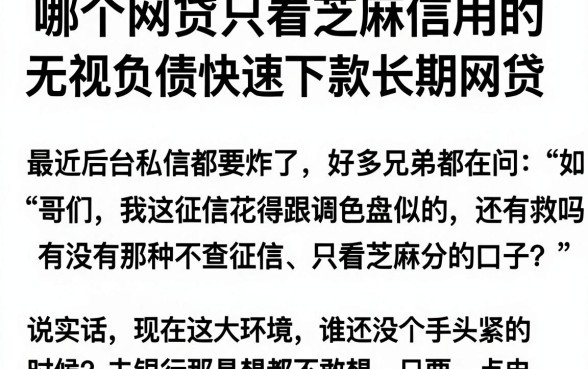 哪个网贷只看芝麻信用的,胪列五个无视负债快速下款长期网贷的软件