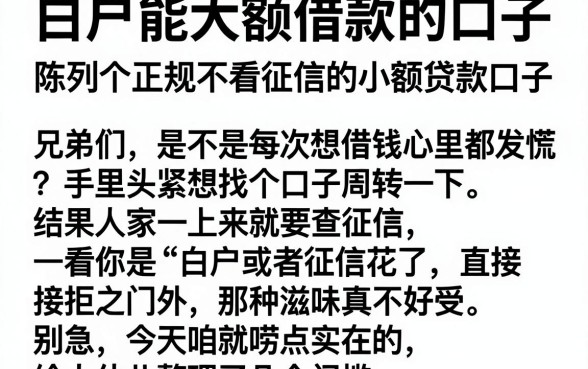 白户能大额借款的口子，陈列五个正规不看征信的小额贷款口子
