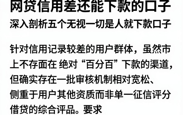 网贷信用差还能下款的口子，深入剖析五个无视一切是人就下款口子