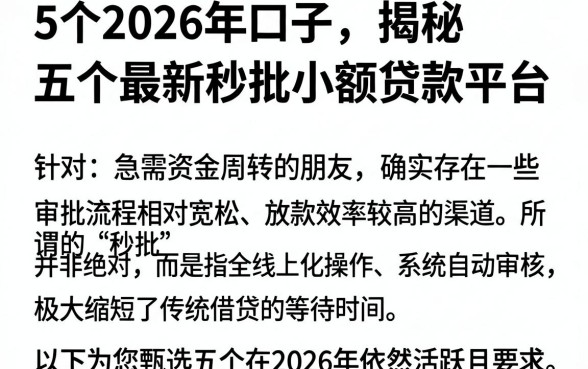5个2026年口子，揭秘五个最新秒批小额贷款平台