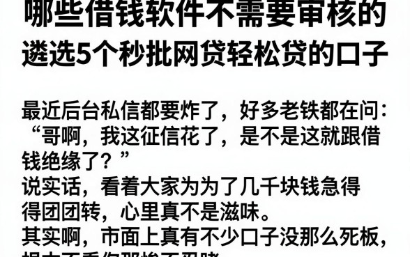 哪些借钱软件不需要审核的,遴选5个秒批网贷轻松贷的口子