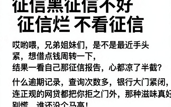 征信黑征信不好征信烂不看征信 逾期的软件，归集五个不看征信查询的平台