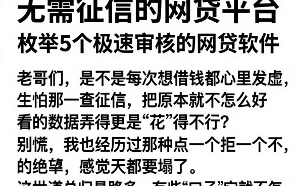 无需征信的网贷平台,枚举5个极速审核的网贷软件