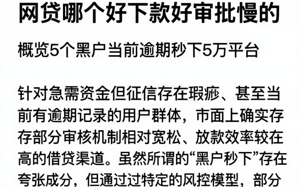 网贷哪个好下款好审批慢的，概览5个黑户当前逾期秒下5万平台