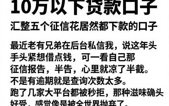 10万以下贷款口子,汇整五个征信花居然都下款的口子