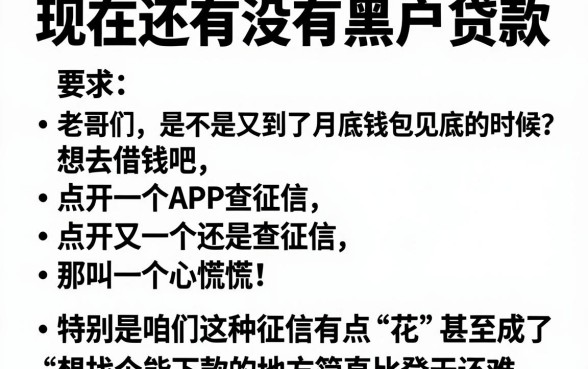 现在还有没有黑户贷款,罗列五个手机和身份证快速借钱平台