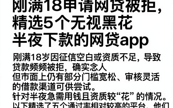刚满18申请网贷被拒，精选5个无视黑花半夜下款的网贷app