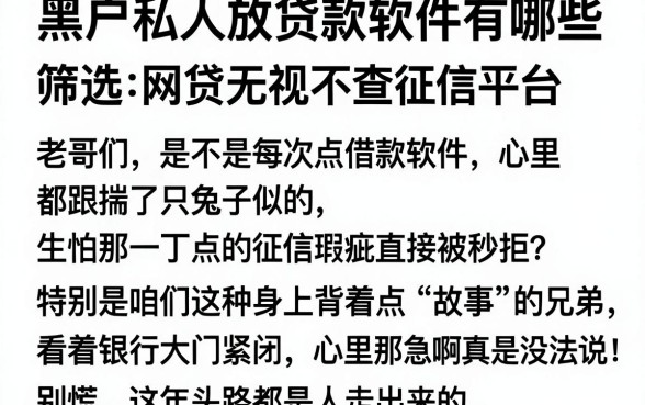 黑户私人放贷款软件有哪些,筛选五个网贷无视不查征信平台