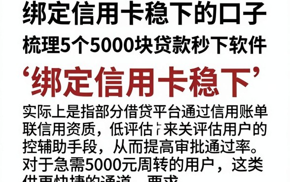 绑定信用卡稳下的口子，梳理5个5000块贷款秒下软件