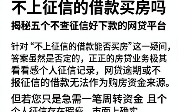 不上征信的借款买房吗，揭秘五个不查征信好下款的网贷平台