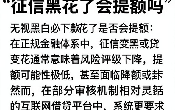 征信黑花了会提额吗,详细阐述五个无视黑白必下款的网贷app