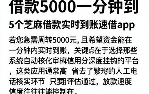 借款5000一分钟到，详细阐述5个芝麻借款实时到账速借app
