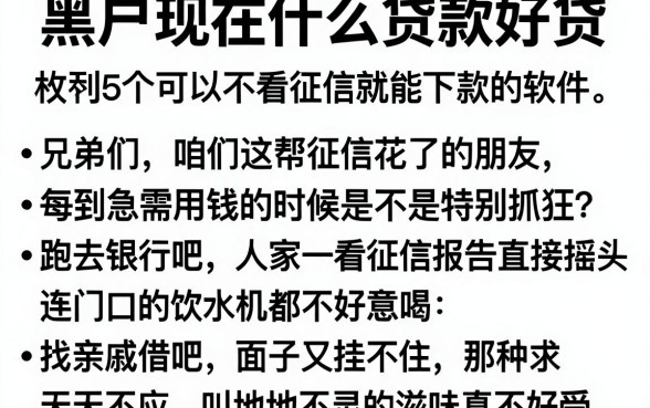黑户现在什么贷款好贷，枚举5个可以不看征信就能下款的软件