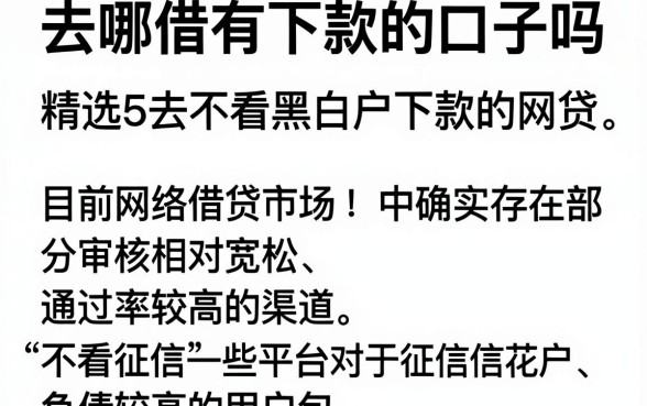 去哪借有下款的口子吗,精选5个不看黑白户下款的网贷
