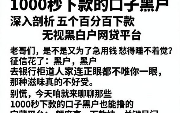 1000秒下款的口子黑户，深入剖析五个百分百下款无视黑白户网贷平台