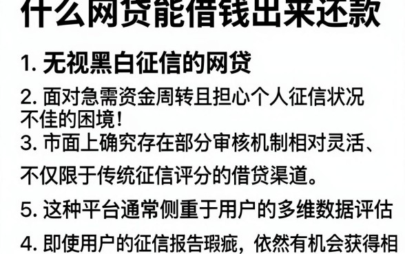什么网贷能借钱出来还款，详细阐述五个无视黑白征信的网贷