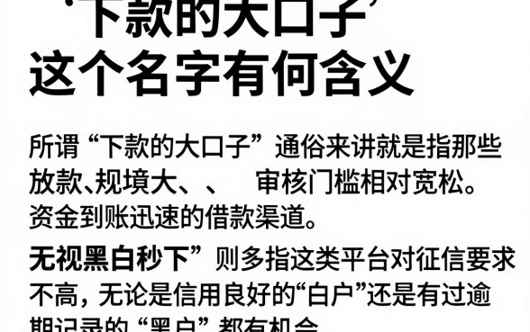 下款的大口子这个名字有何含义,归集5个借钱无视黑白100%秒下软件
