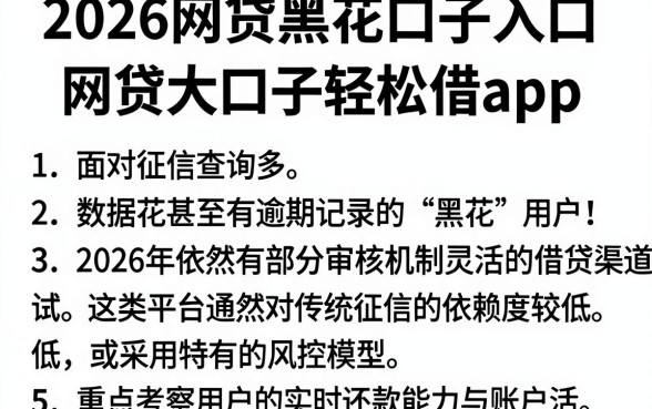 2026网贷黑花口子入口,归纳5个网贷大口子轻松借app