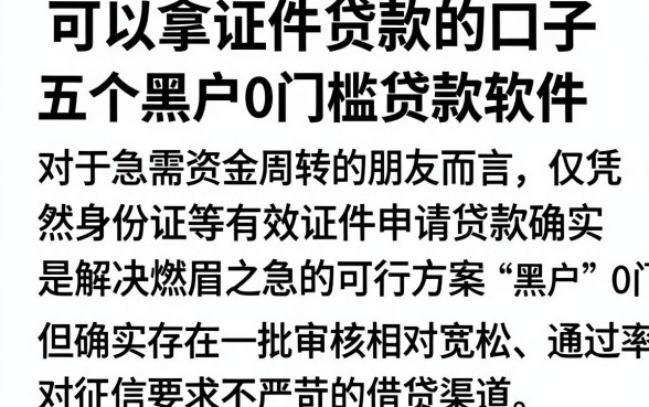 可以拿证件贷款的口子,详尽说明五个黑户0门槛贷款软件