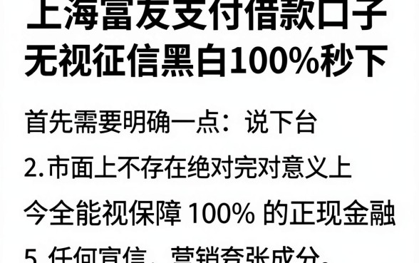 上海富友支付借款口子,归纳5个无视征信黑白100%秒下平台