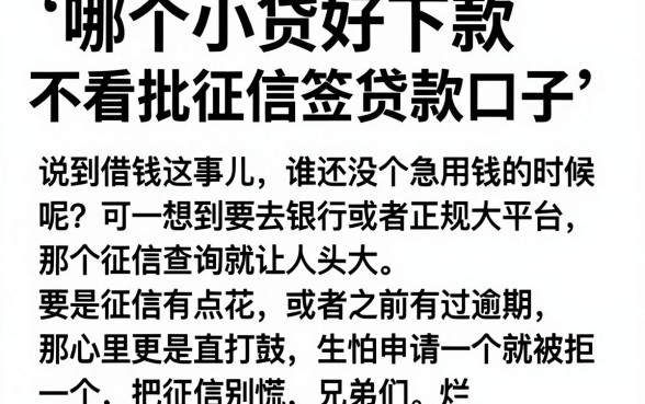 哪个小贷好下款不看征信的平台,陈列5个秒批无面签贷款口子
