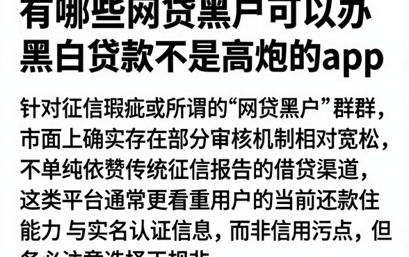 有哪些网贷黑户可以办，理出五个黑白贷款不是高炮的app