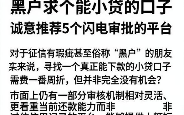黑户求个能小贷的口子，诚意推荐5个闪电审批的平台