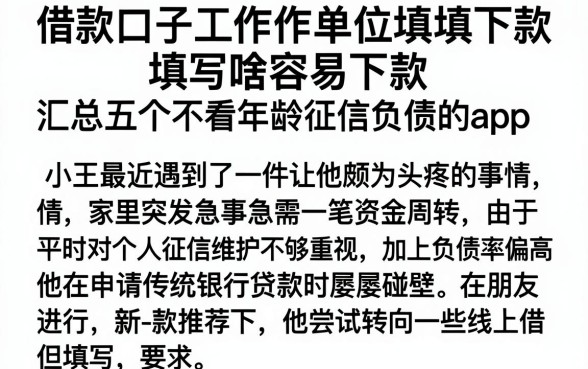 借款口子工作单位填写啥容易下款,汇总五个不看年龄征信负债的app