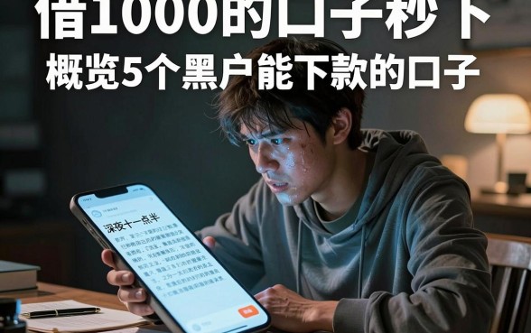 借1000的口子秒下，概览5个黑户能下款的口子