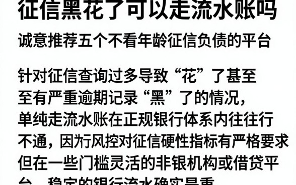 征信黑花了可以走流水账吗,诚意推荐五个不看年龄征信负债的平台