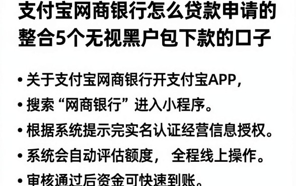 支付宝网商银行怎么贷款申请的,整合5个无视黑户包下款的口子