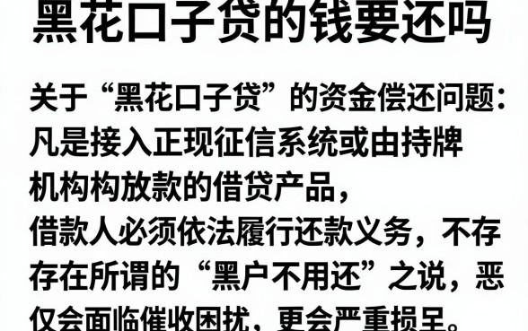黑花口子贷的钱要还吗，梳理五个网贷容易下款18岁的app