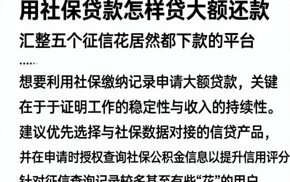 用社保贷款怎样贷大额还款，汇整五个征信花居然都下款的平台