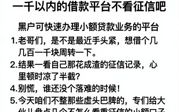 一千以内的借款平台不看征信吧，条列5个黑户可快速办理小额贷款业务的平台