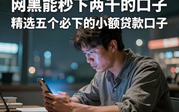 网黑能秒下两千的口子，精选五个必下的小额贷款口子